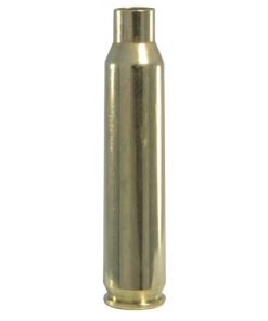 223 Winchester Brass