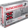 45-70 Govt Ammo